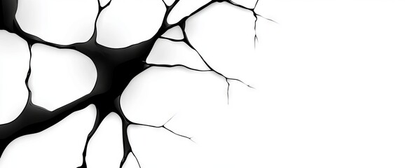 black ink grunge texture, high contrast, vector design, white background