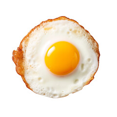 fried egg isolated white