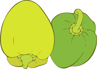 Fresh  green bell Peppers hand drawn PNG 