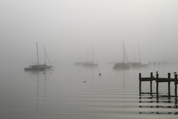 some sailing boats in the backlight on Lake Ammersee in the morning mist