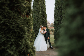 A bride and groom are standing in front of a row of trees. The bride is wearing a white dress and the groom is wearing a suit. They are holding hands and looking at each other. The scene is romantic