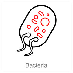 Bacteria