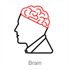 Brain