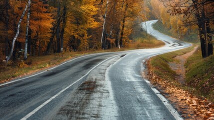 Fototapeta premium A tranquil, wet road meanders through a forest adorned with the golden hues of autumn, creating a peaceful and scenic journey.