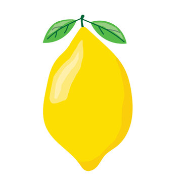 recommend clip art: yellow lemon fruit with leaves - vector illustration