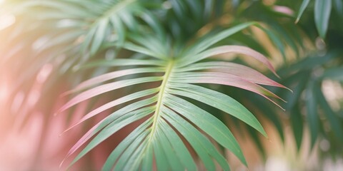 The image showcases a close-up of palm leaves with a soft pastel color palette, giving a tranquil tropical feel.
