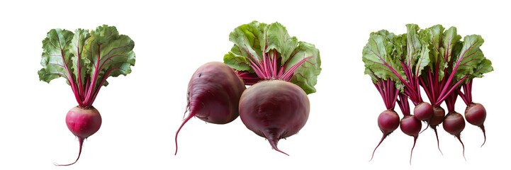 High-quality fresh beetroot isolated on a transparent background showcasing organic and natural farm produce in different growth stages for healthy eating and vegan recipes