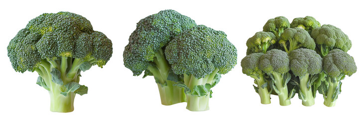 Fresh organic broccoli isolated on a transparent background showcasing vibrant green vegetable heads ideal for healthy meals, vegan recipes, and nutritious diet choices