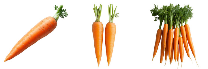 Fresh Organic Carrots on Transparent Background Perfect for Healthy Food Concepts, Cooking Recipes, and Nutrition Projects
