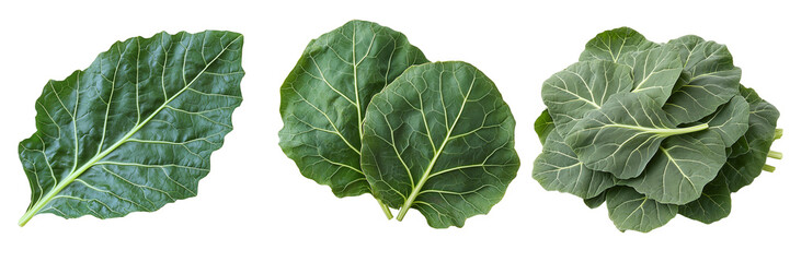Fresh Organic Collard Greens on Transparent Background Perfect for Healthy Eating, Cooking Inspiration, and Nutritional Content Creation