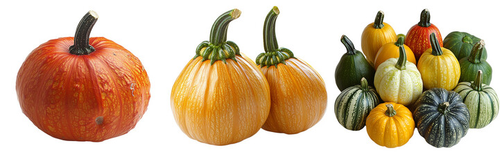 Vibrant assorted squash varieties isolated on transparent background, featuring colorful gourds perfect for autumn decorations, cooking, and healthy seasonal recipes