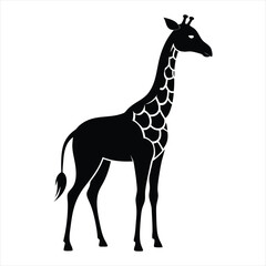Naklejka premium Giraffe silhouette vector