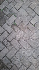 Close-up of Weathered Brick Pavement with Moss