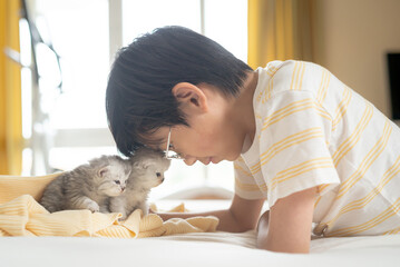 Asian child playing with kittens on white bed