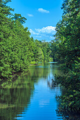 Fototapeta premium Nature