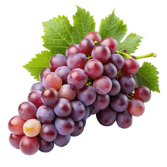 Fototapeta premium A bunch of grapes lying on a transparent background