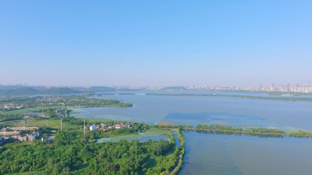Summer scenery of Wuhan East Lake Scenic Area