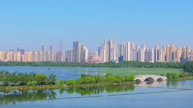 Summer scenery of Wuhan East Lake Scenic Area