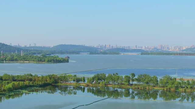 Summer scenery of Wuhan East Lake Scenic Area