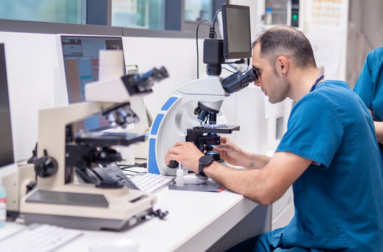 Veterinarian examining samples under a microscope in a lab
