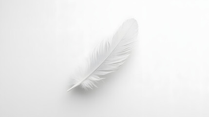 Obraz premium A single white feather lays on a pristine white background, creating a minimalist and elegant aesthetic.