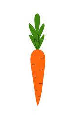 Orange carrot. Doodle and icon isolated on white. Harvest festival. Healthy food. Vegetarian. Veggie. Proper nutrition. Vector.