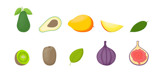 Colored fruit set isolated on a white background. Tropical fruits. Vector Illustration, icon. Avocado, mango, kiwi, fig in hand-drawn style.