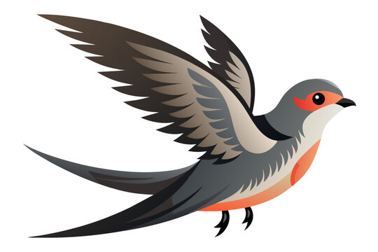 recommend clip art: Beautiful swift bird different posture vector art illustration 