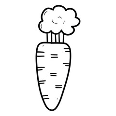 Hand drawn doodle carrot with leaves on white background.