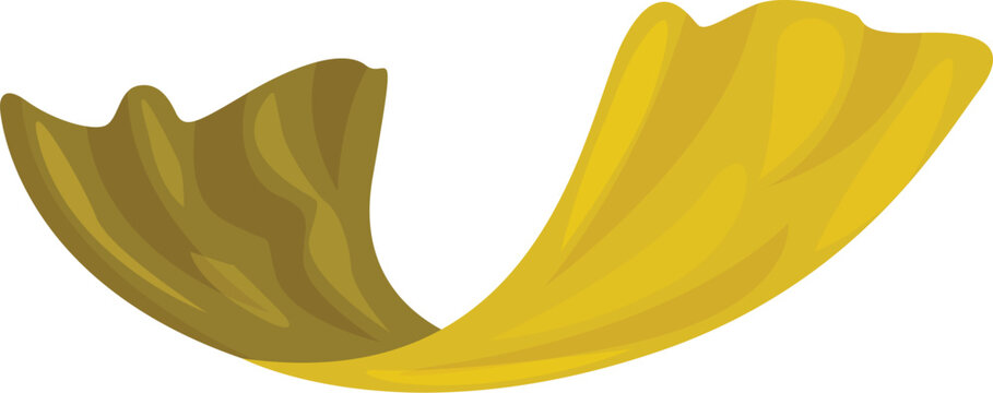 Yellow and green laminaria digitata floating on a white background