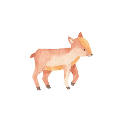 Watercolor baby deer hand drawn illustration