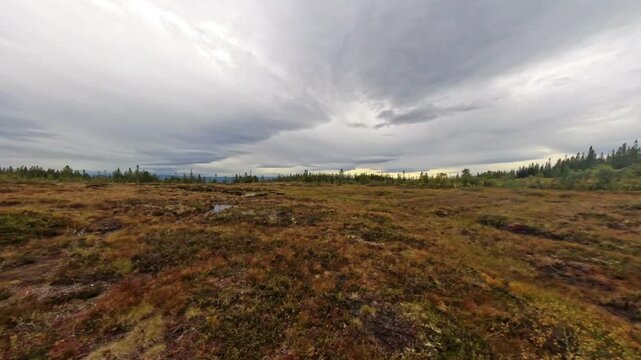 Autumn in Bymarka, Norway
