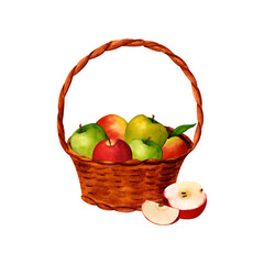 Wicker basket of orange and green pumpkin, watercolor realistic illustration, for prints, invitations, postcards to the autumn holidays Thanksgiving, harvest festival, farmer's market, kitchen, menu