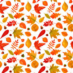 Tree yellow orange and red fall leaves. Autumn foliage watercolor realistic seamless pattern, for prints, invitations, cards Thanksgiving, Halloween, harvest festival, farmer's market