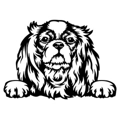 Peeking Spaniel - Dog lover owner gift - Dog cut file - Peeking Dog Cut Stencil