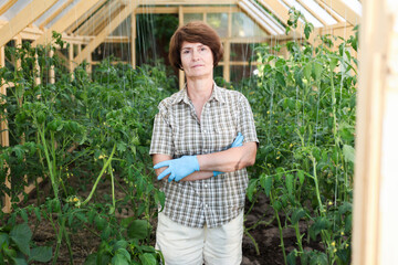 Obraz premium Elderly woman weeds tomato beds in a greenhouse