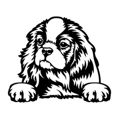 Peeking Spaniel - Dog lover owner gift - Dog cut file - Peeking Dog Cut Stencil