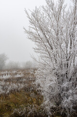 frosty morning in the Urals