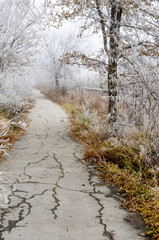 Winter nature of the Urals