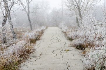 Winter nature of the Urals