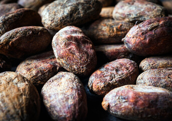 Cocoa beans background, Close-up of cocoa bean, dried cocoa beans
