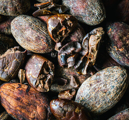 Cocoa beans background, close-up of cocoa bean,  dried broken cocoa beans