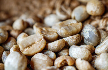 Green coffee beans poured out of a brown sack, Close-up of unroasted coffee bean, macro