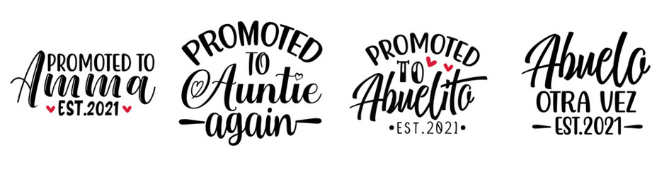 Cute Pregnancy Calligraphic Lettering, Hand Lettering Set Vector Illustration for Flyer, Label, Holiday Cards