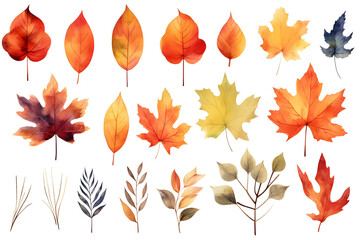 Fototapeta premium Watercolor autumn yellow leaves and plants collection isolated on white background