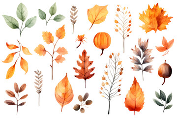 Fototapeta premium Watercolor autumn yellow leaves and plants collection isolated on white background
