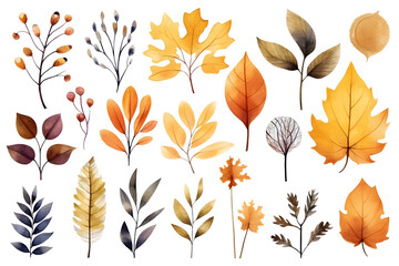 Watercolor autumn yellow leaves and plants collection isolated on white background