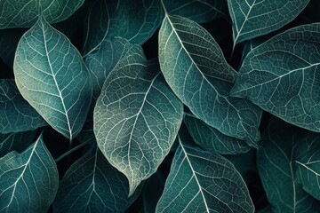 Obraz premium Close-Up of White-Veined Dark Green Leaves