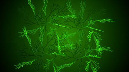 Greece and Halkidiki anatomy. 3d illustration