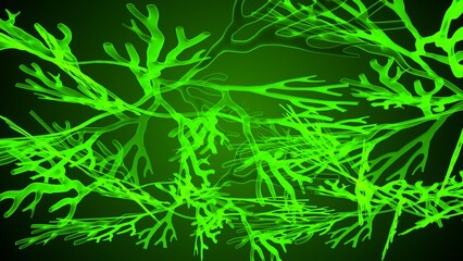 Greece and Halkidiki anatomy. 3d illustration